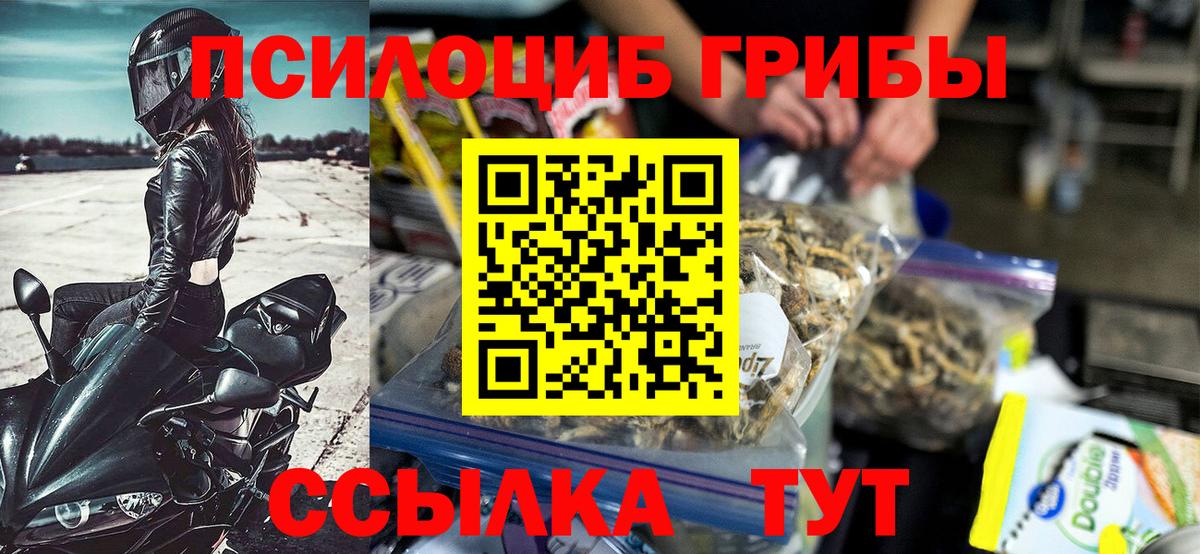 Галлюциногенные грибы Cubensis Феодосия